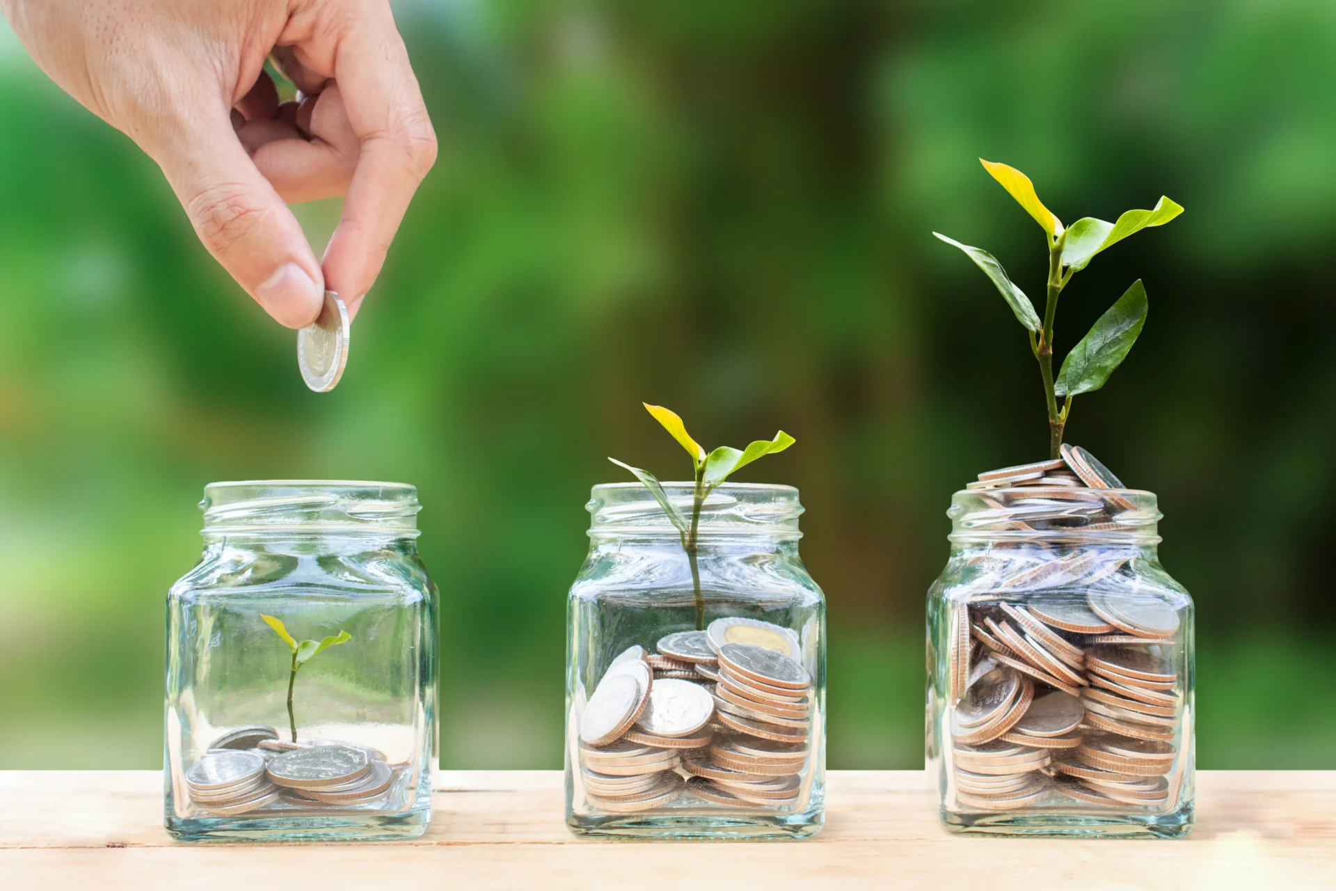 Coins in jars growing with plants.