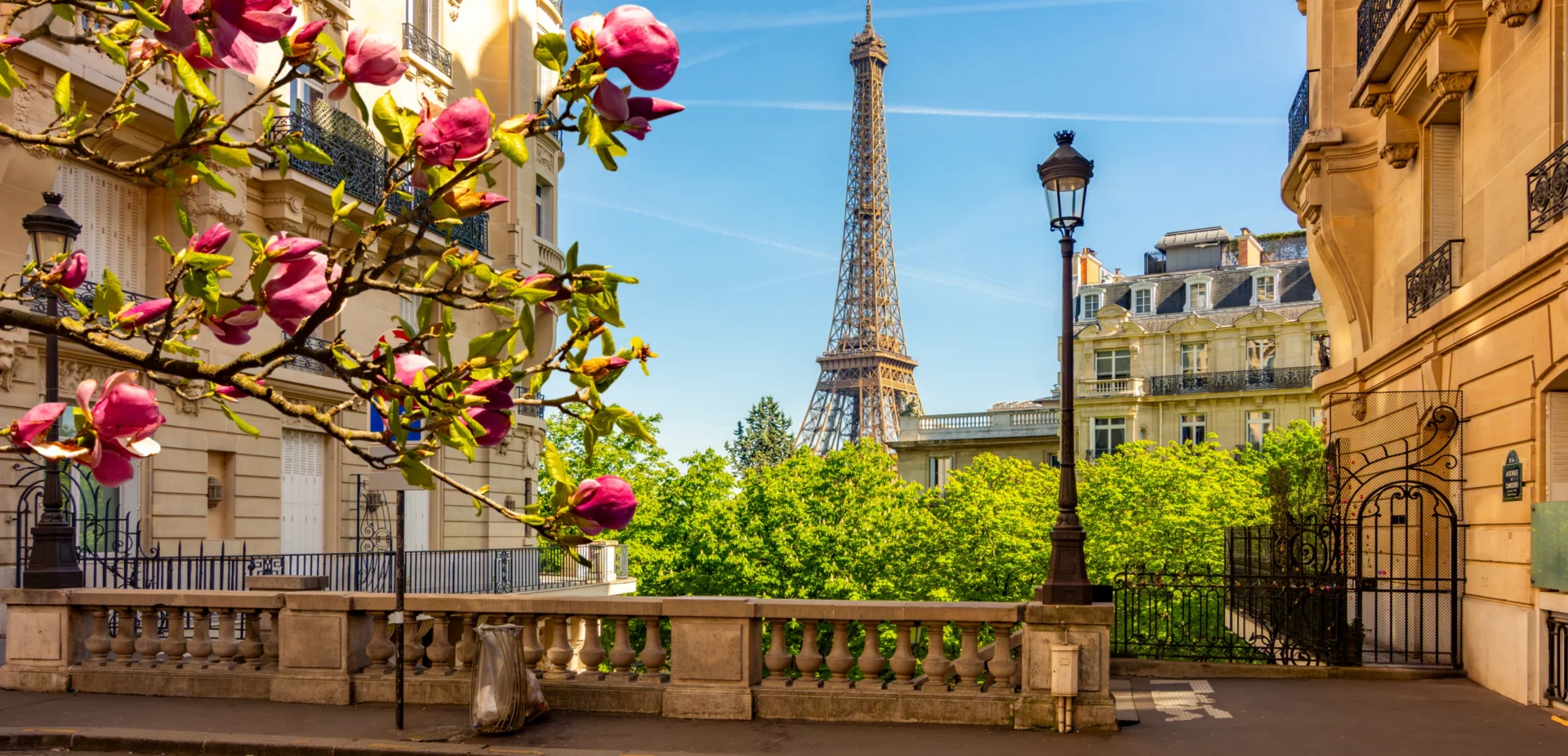 Eiffel Tower with blooming flowers